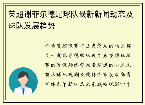 英超谢菲尔德足球队最新新闻动态及球队发展趋势